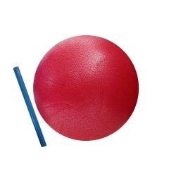 توپ پیلاتس نی دار اصلی 25 سانت