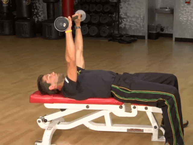 پلاور سینه با هالتر