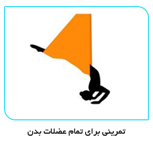 تمرینی برای تمام عضلات بدن