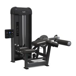 دستگاه پشت پا مانیتوردار ANYFIT مدل PE203